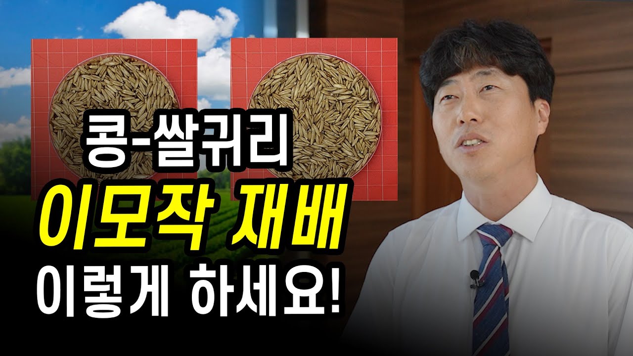 [터치정보農 42편] 콩-쌀귀리 이모작 작부체계 재배기술