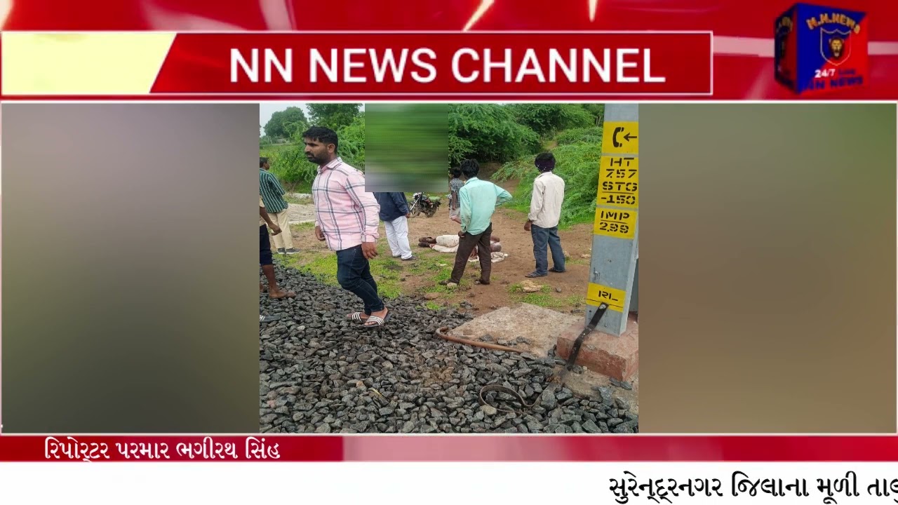 nn news