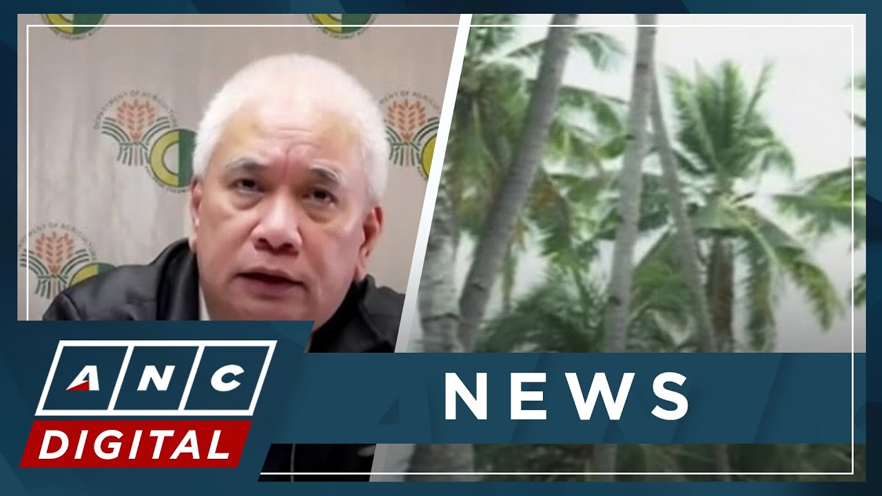 Taking stock of the PH coconut industry | ANC
