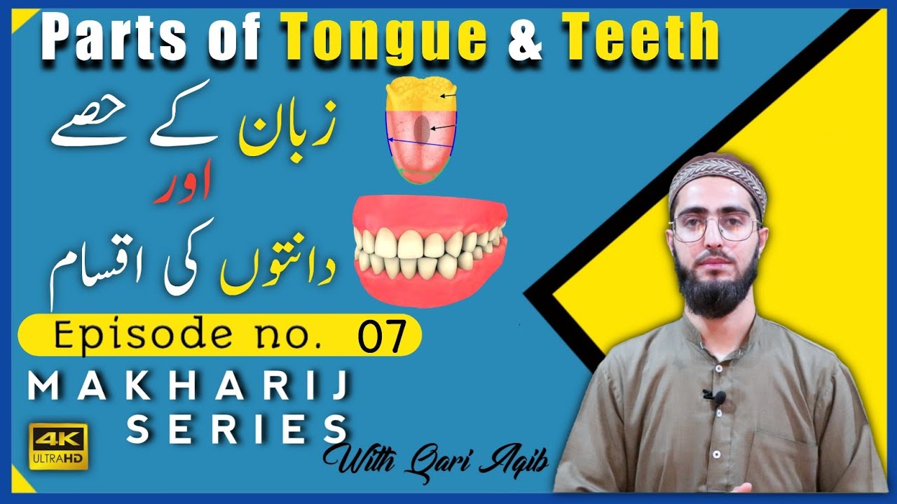 Parts of Tongue & Types of Teeth | Makharij Series Ep - 07 | Qari Aqib | Urdu/Hindi