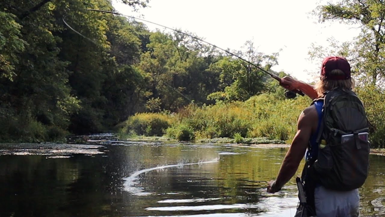 FLY FISHING WATERLOO CREEK | DRIFTLESS REGION TROUT | DRY FLY FISHING (Allamakee County, Iowa)