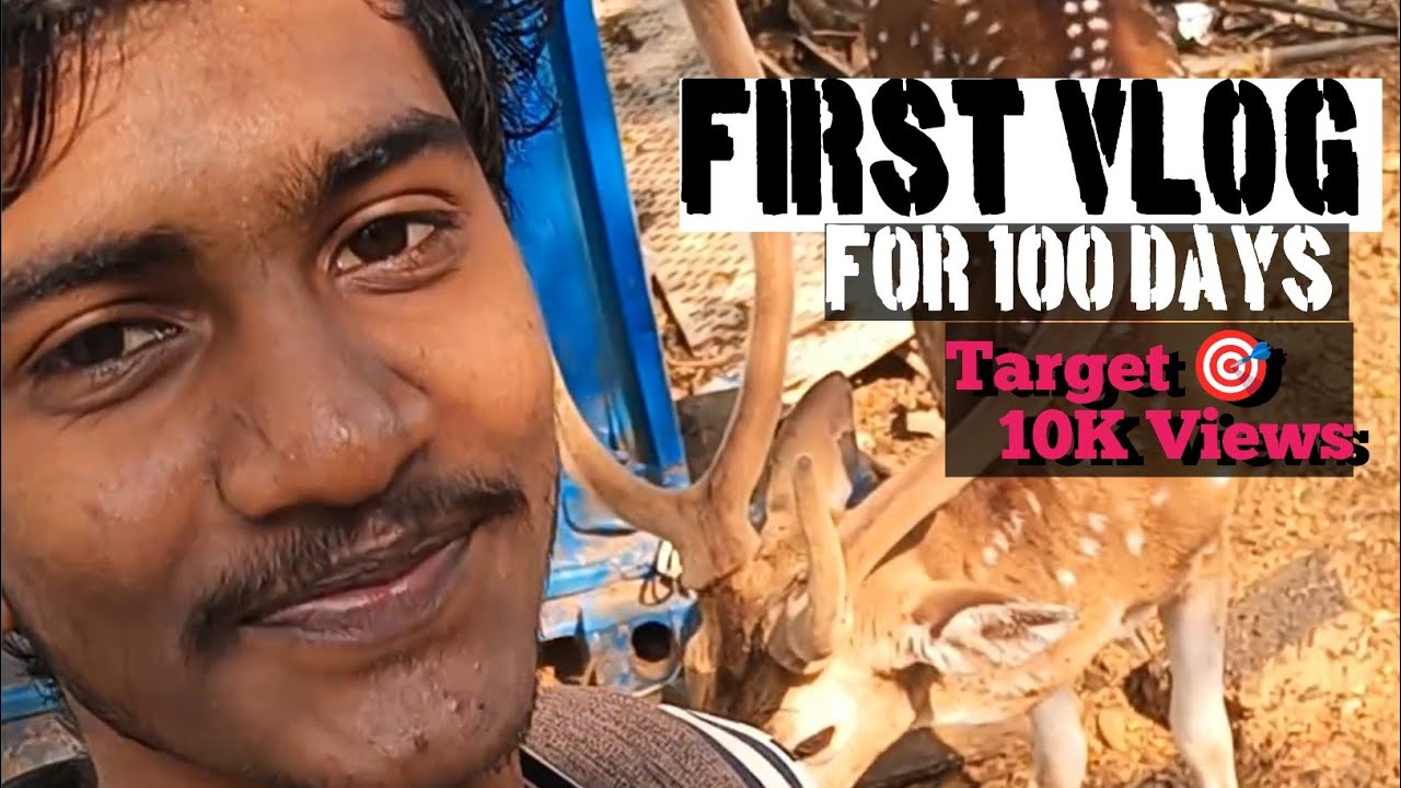 First Vlog 👀😎 For 100 Days 🎯 My Terget 10k Subscribe 🎯 Plz Support me 🙏👀