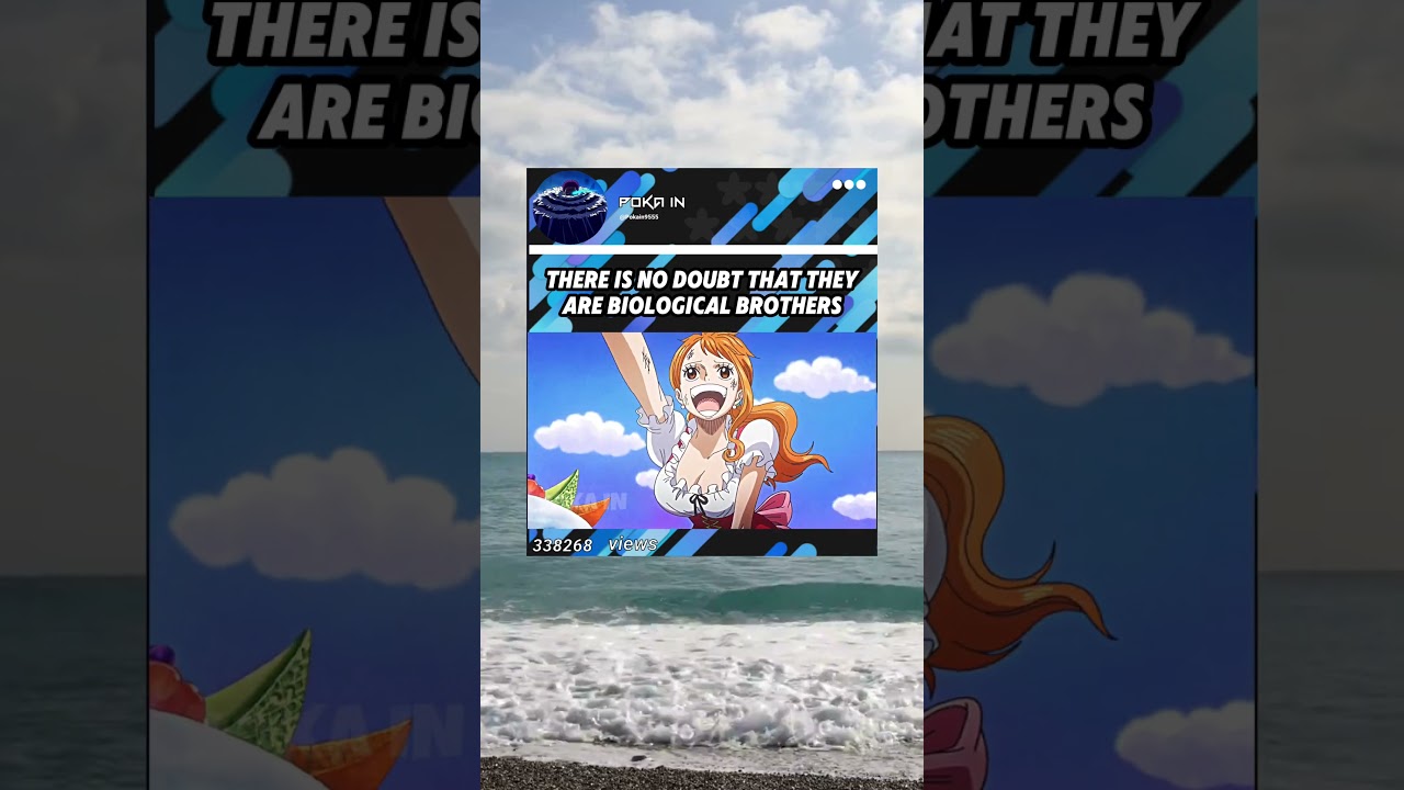 #onepiece #yonji #niji #nami