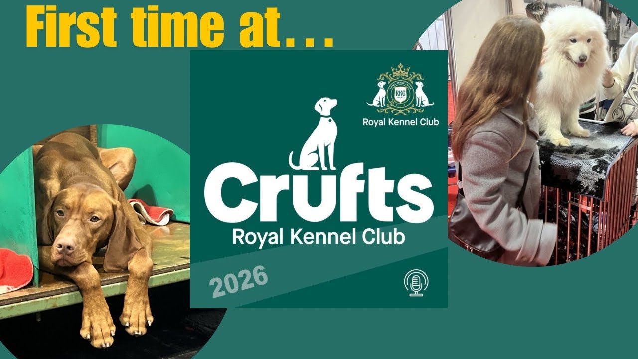The Biggest Dog Show in the World!