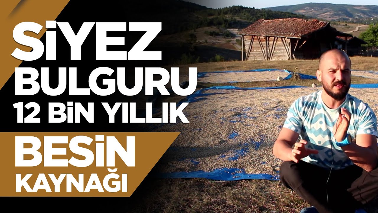 Siyez Bulguru - 12 Bin Yıllık Besin Kaynağı