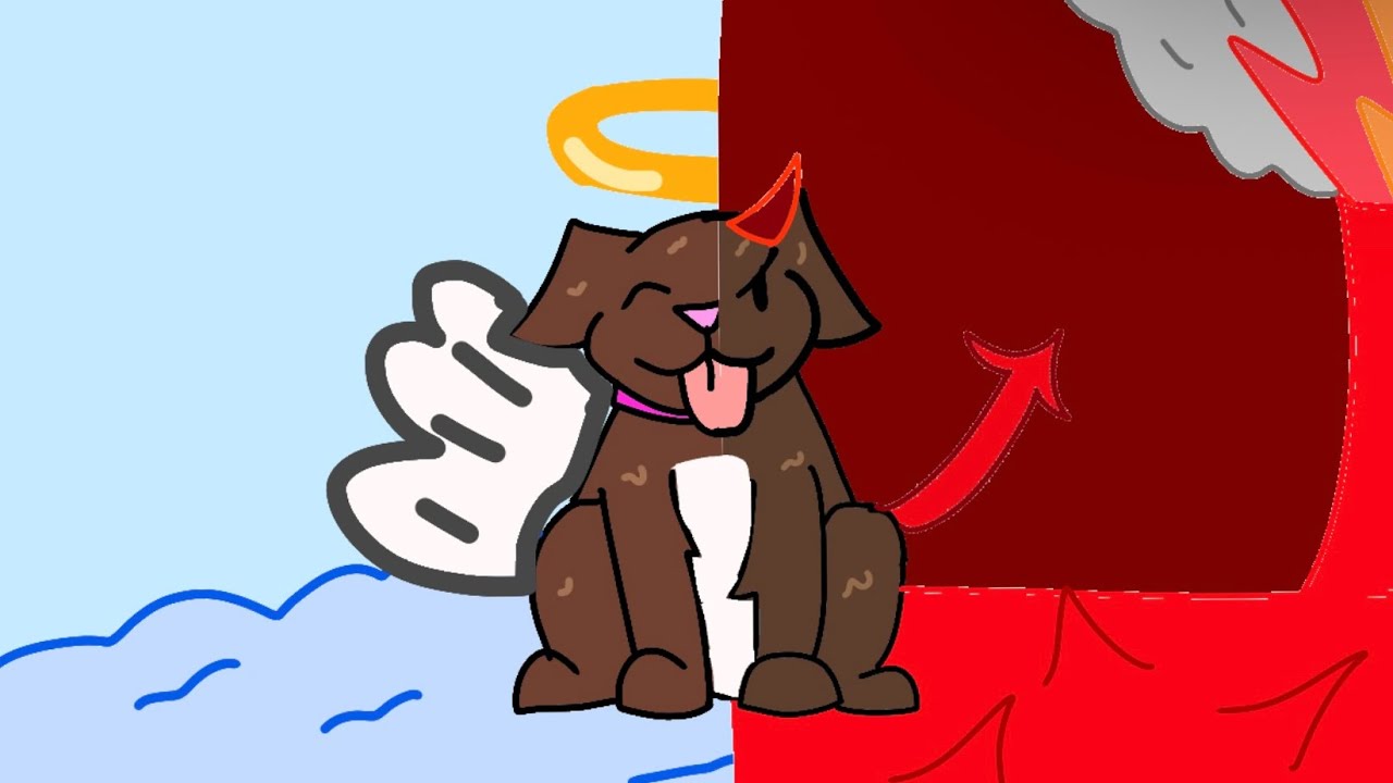My dog!
