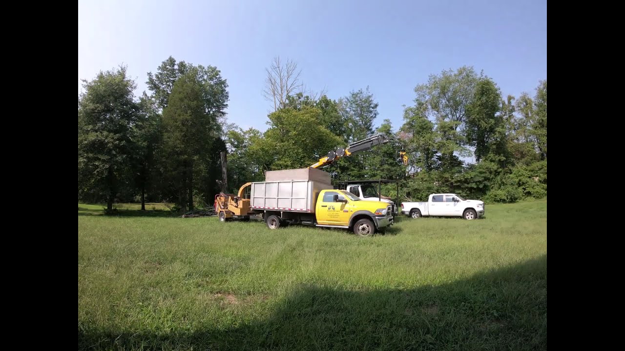 Two Dangerous Ash Removals with Altec Heartland 225 Grapple Saw Knuckle Boom