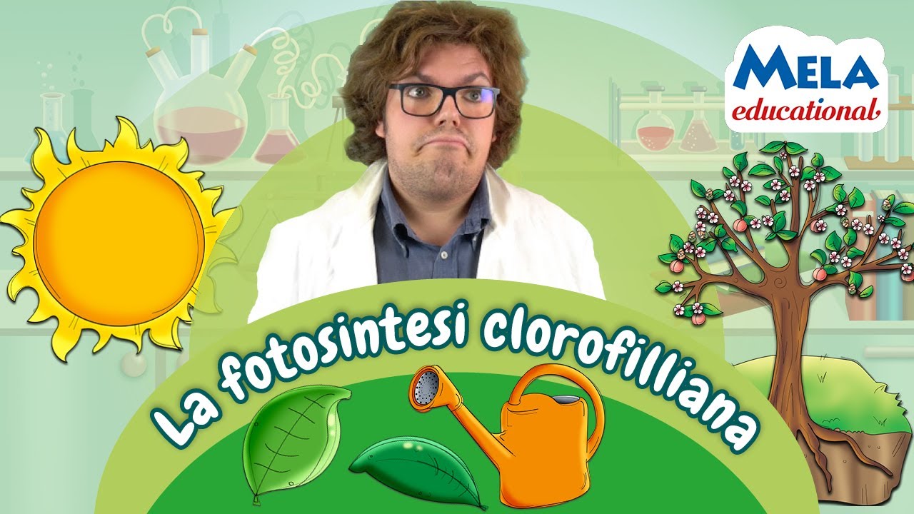 La fotosintesi clorofilliana - Renato lo scienziato Educational @Mela_Educational