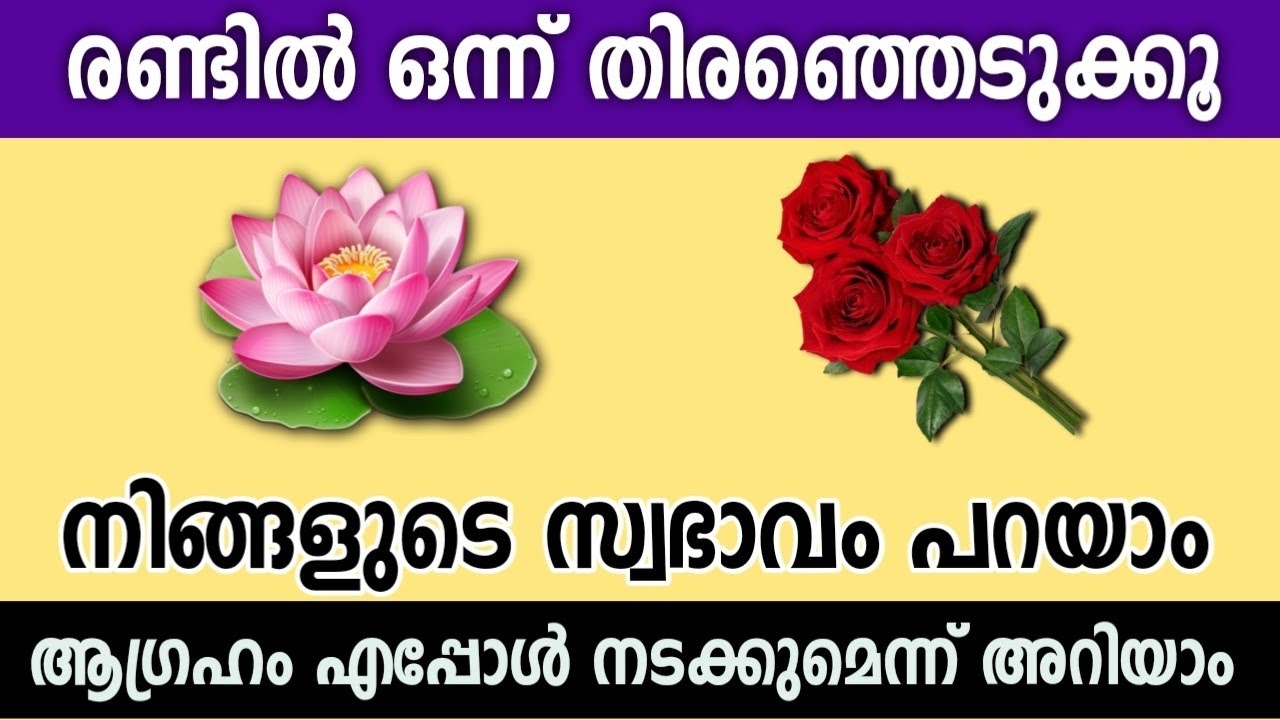 ഒരു പൂവിൽ തൊടൂ... നിങ്ങളുടെ ശരിയായ സ്വഭാവം അറിയാം... തൊടുകുറി ശാസ്ത്രം 💎