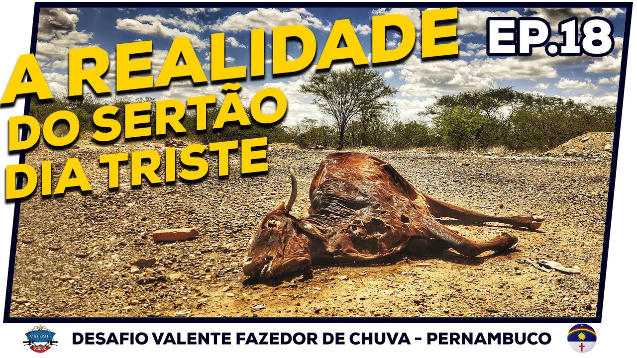 Dia TRISTE: a Realidade do Sertão Pernambucano |Serrita e Serra Talhada | EP18 - VFC-PE