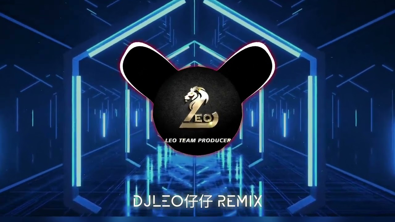 终成陌生人-盧盧快闭嘴(DJLeo仔仔REMIX)