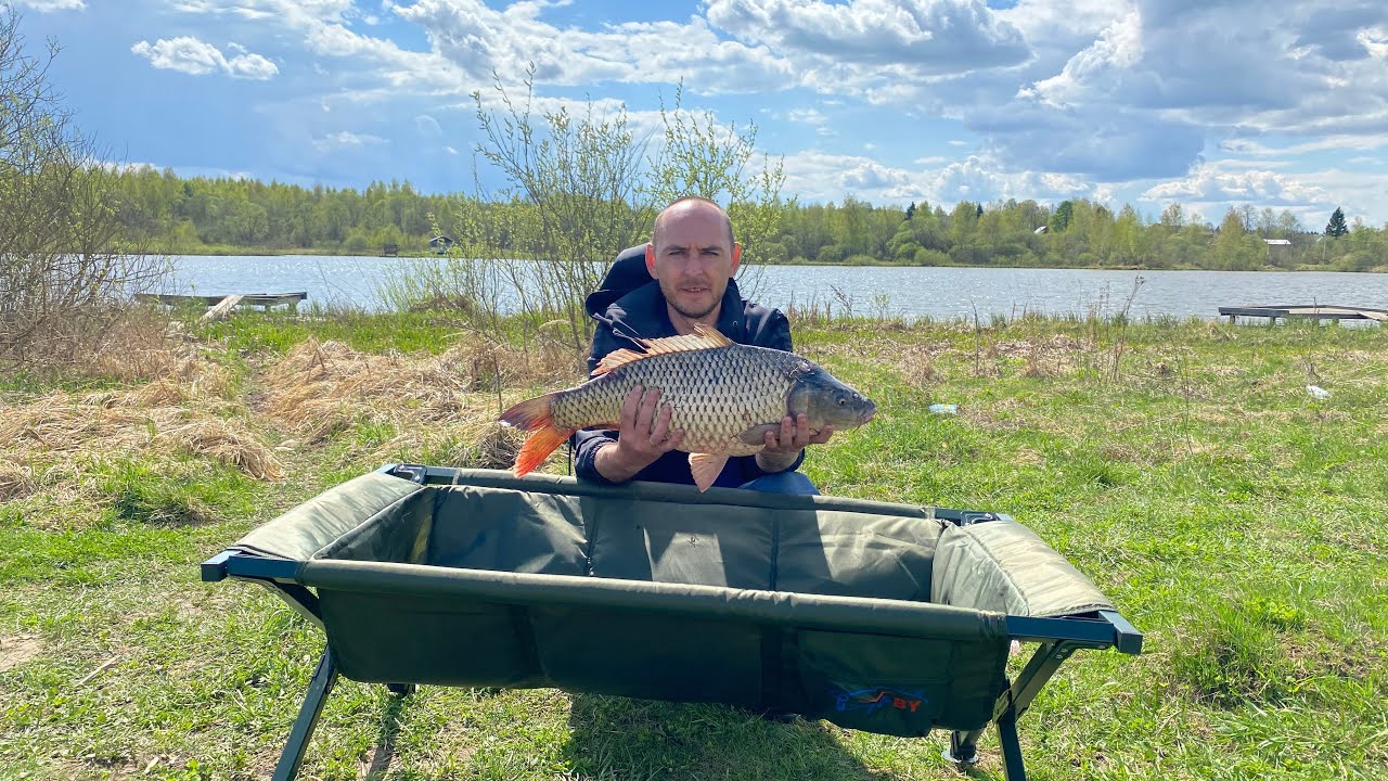 Открыли Сезон по Карпу.#рыбалка #carpfishing #карпфишинг