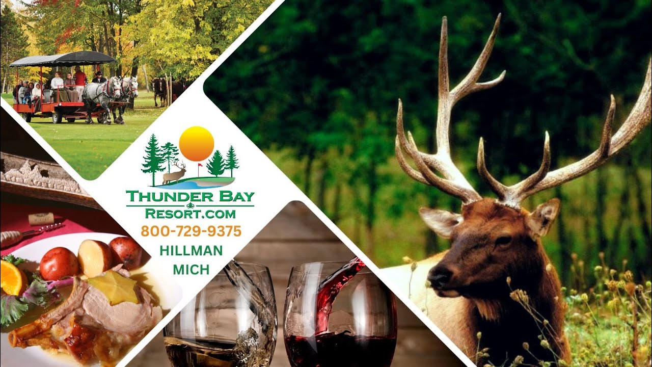 Under The Radar Michigan & Travel Michigan Interviews
