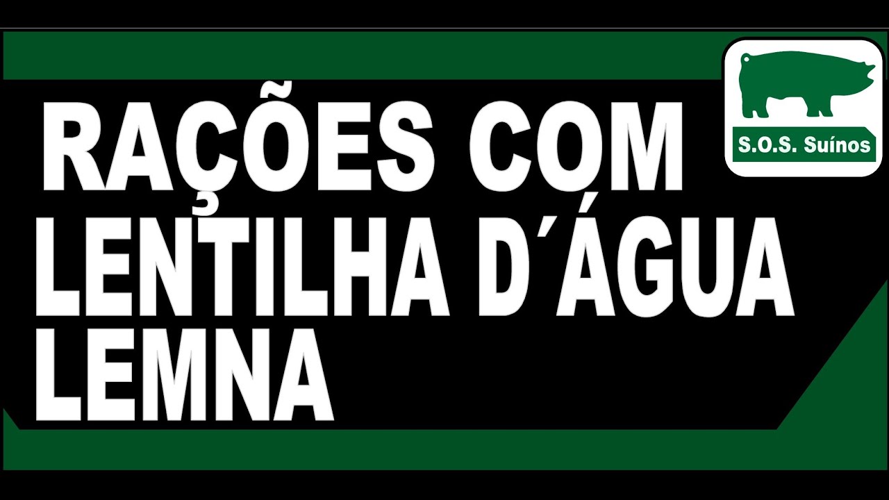 SUINOCULTURA: Ra&ccedil;&atilde;o com Lentilha d&acute;&Aacute;gua -  LEMNA