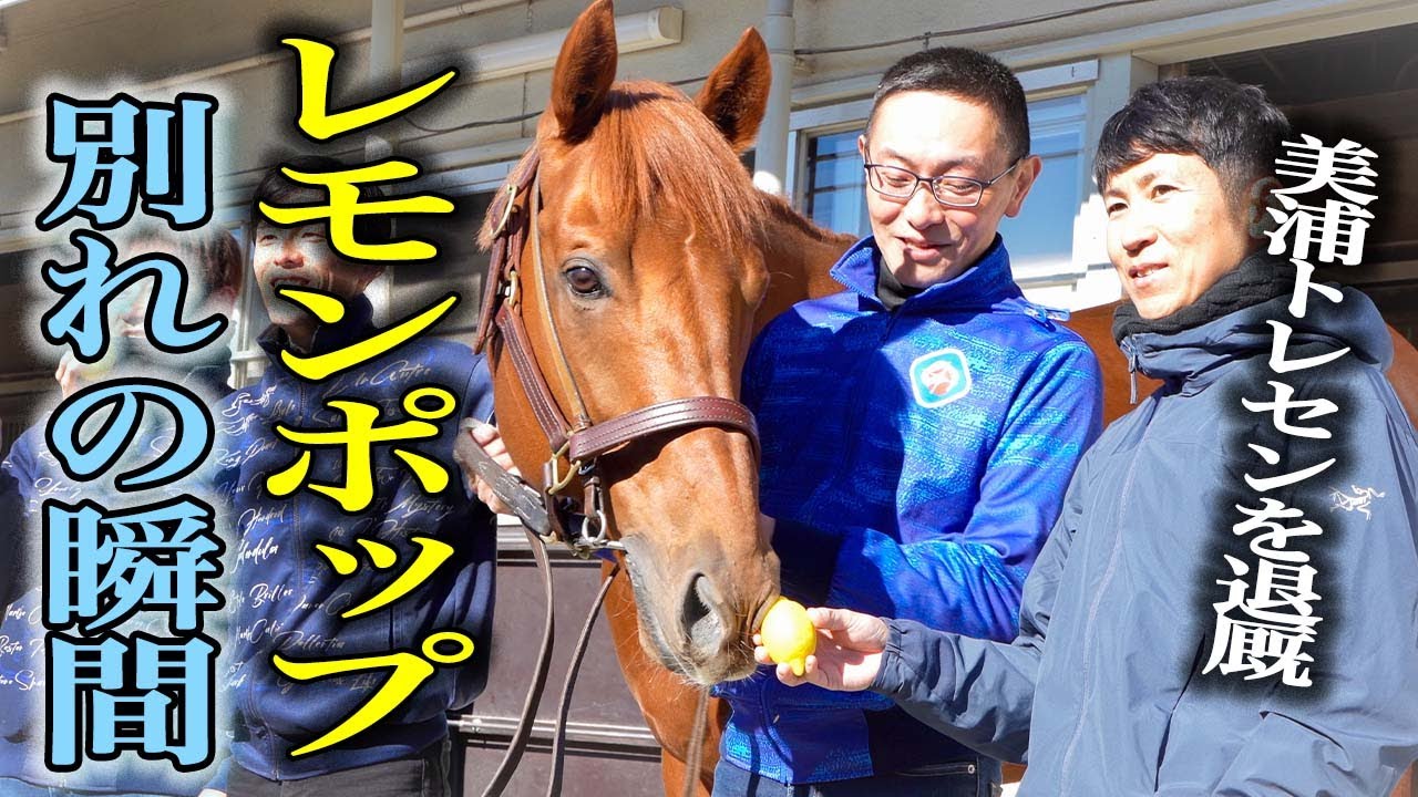 【引退】レモンポップ、別れの瞬間　美浦トレセンを退厩《東スポ競馬》