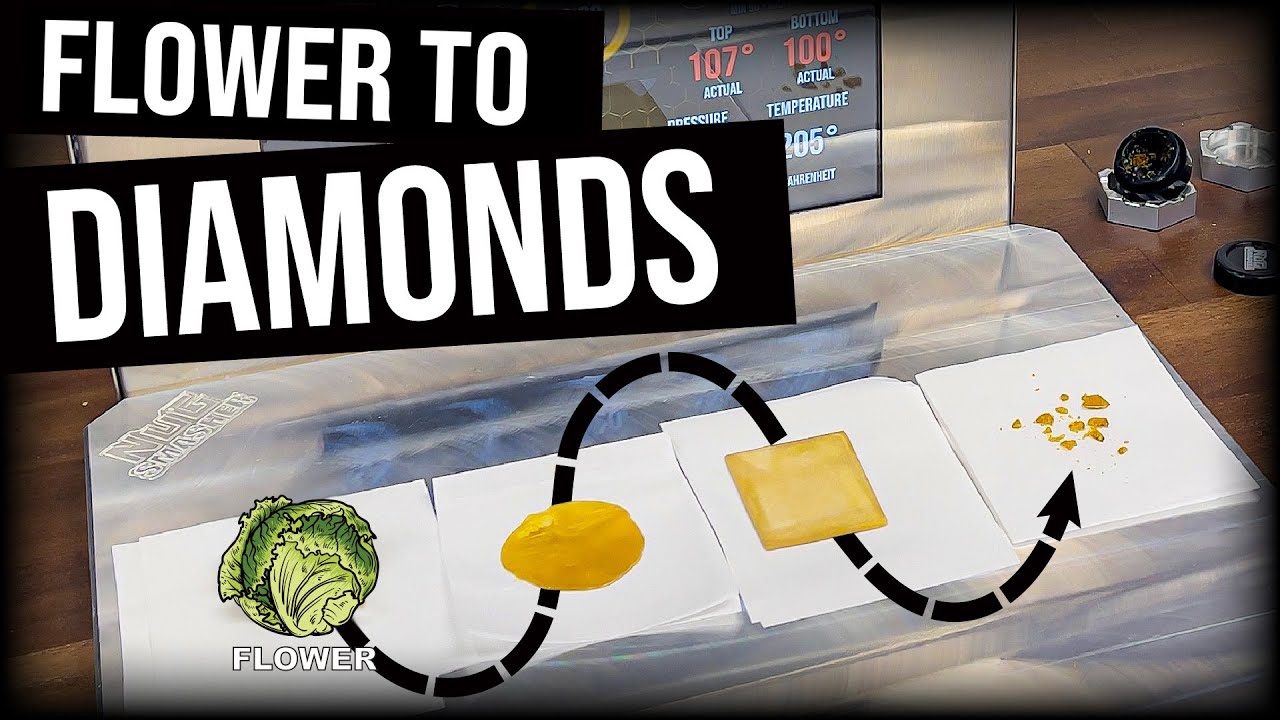 HOW TO TURN FLOWER TO DIAMONDS WITH NUGSMASHER IQ ROSIN PRESS