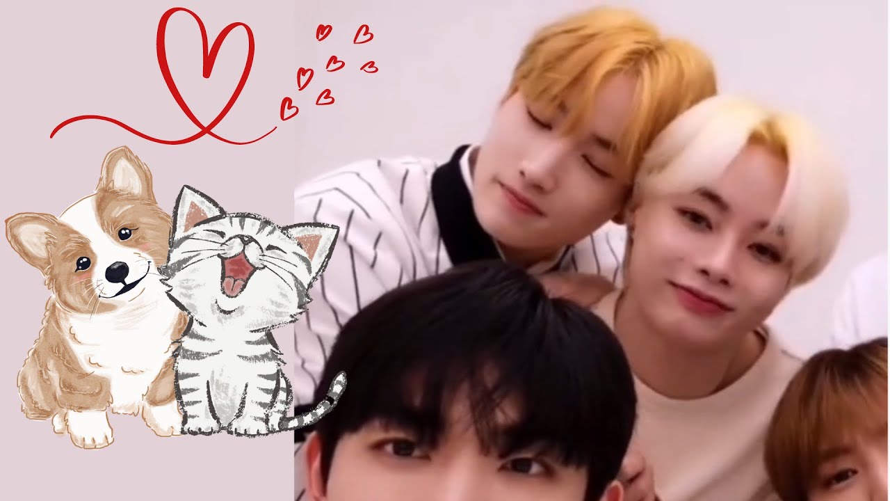 Tempest And Their Soft Spot For Hanbin Part 1 Bonbin #hanbin #hyuk #한빈 #ハンビン #TEMPEST #TPST #템페스트