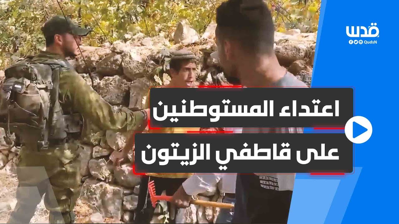 اعتداء المستوطنين وجيش الاحتلال على قاطفي الزيتون بتل ارميدة بالخليل