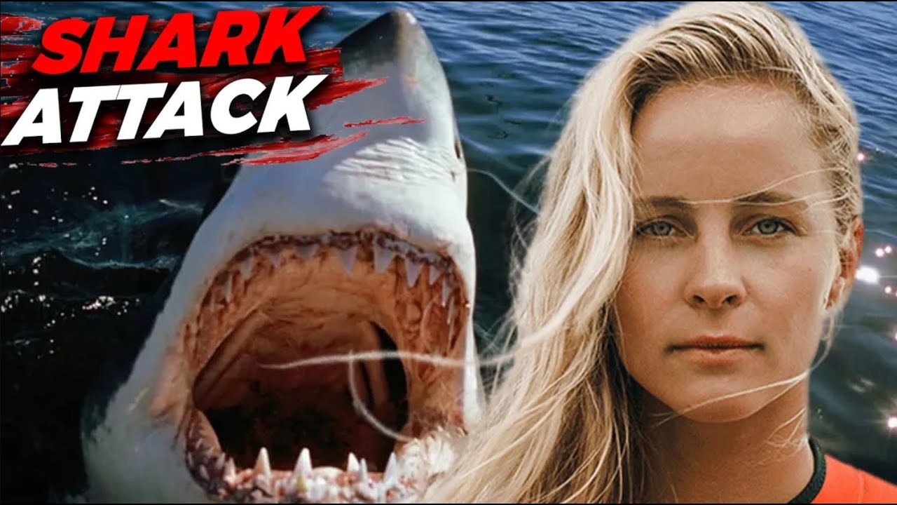 The Terrifying Moment Australia’s Biggest Shark Targeted a Surfer