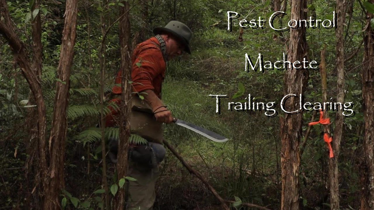 MACHETE CLEARING A BAIT TRAIL. PEST CONTROL IN NEW ZEALAND/CONDOR MACHETE