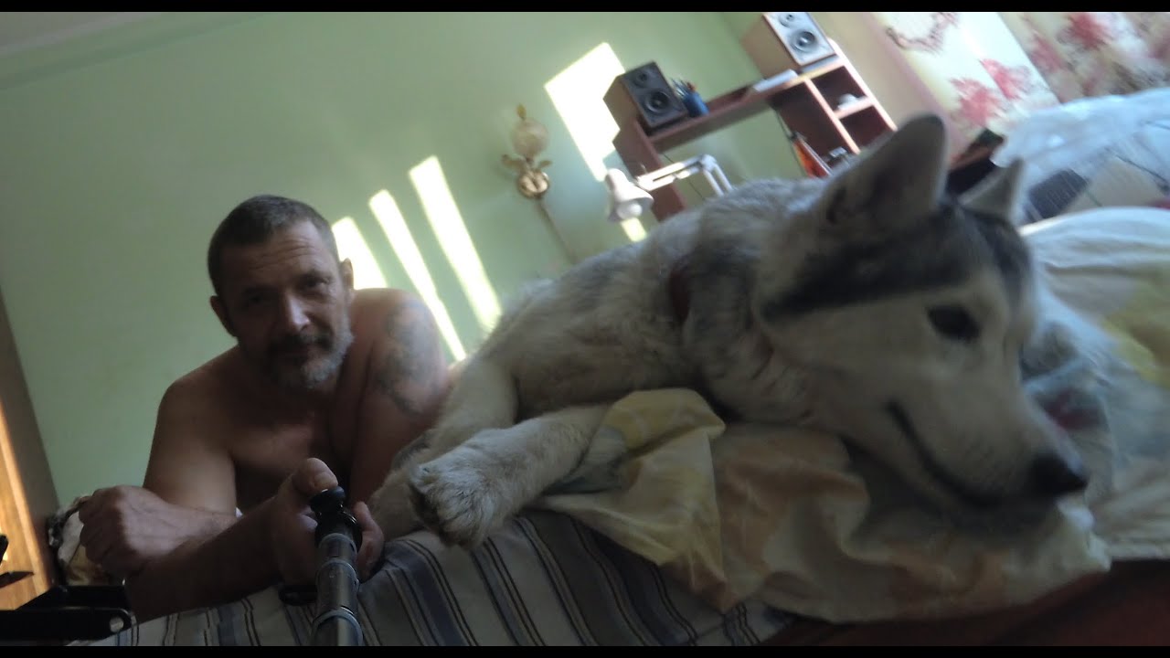 Три классные мушки прошлого лета