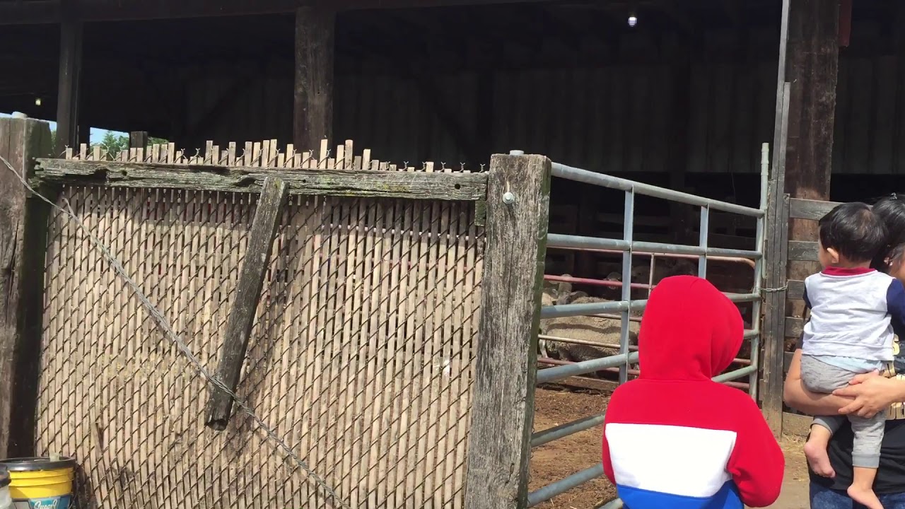 Uk peng lian te chungkhar len nak