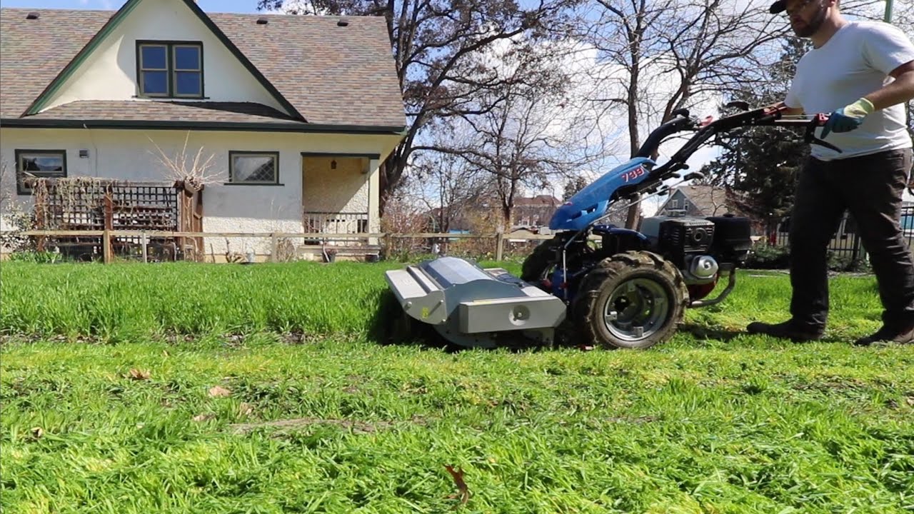 Nature's Secret Weapon: How Cover Crops Build Healthy, Fertile Soil!
