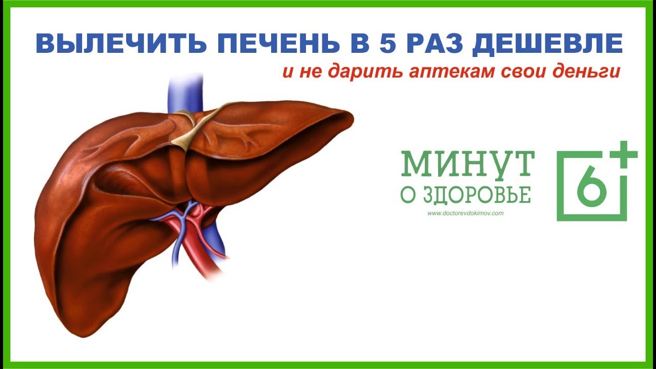 Лечение печени в 5 раз дешевле - 6 минут о здоровье