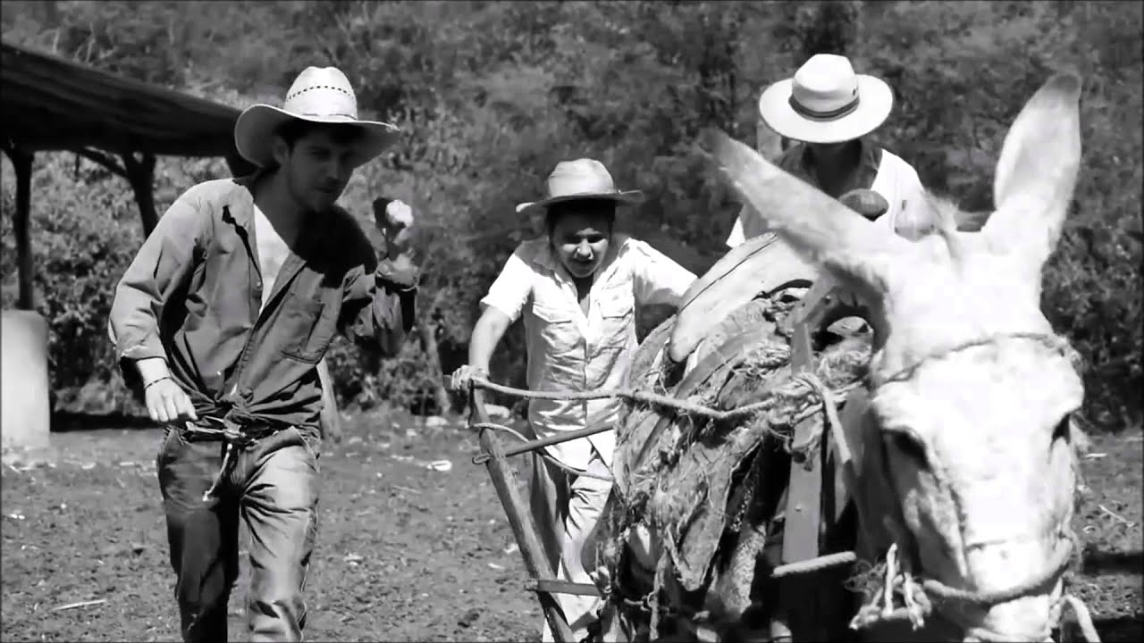 Los Traviezoz De La Zierra-Pasajes De Mi Infancia (2015)