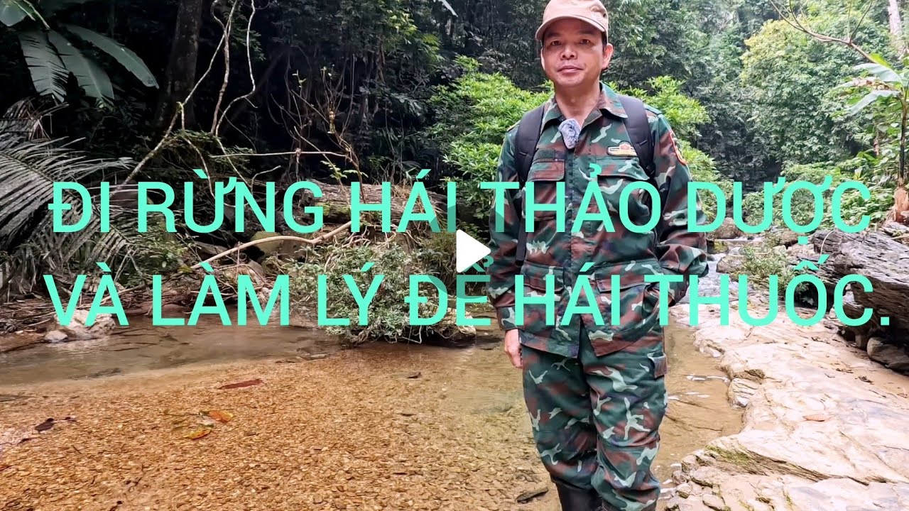 Đi rừng tìm thảo dược và cách làm lý để hái thảo dược @Lyhuyentv #food #cuocsong #dulich 