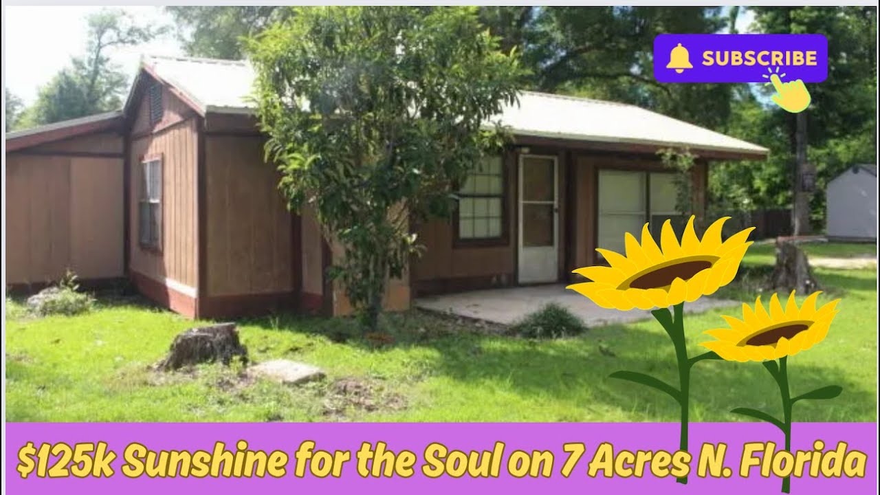 $125k North Florida w/7 Acres, 🌞Sunshine for the Soul 😎