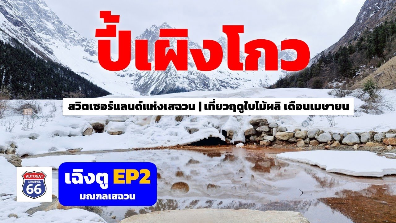 ปี้เผิงโกว Bipenggou ในฤดูใบไม้ผลิ เดือนเมษายน สวิตเซอร์แลนด์แห่งเสฉวน