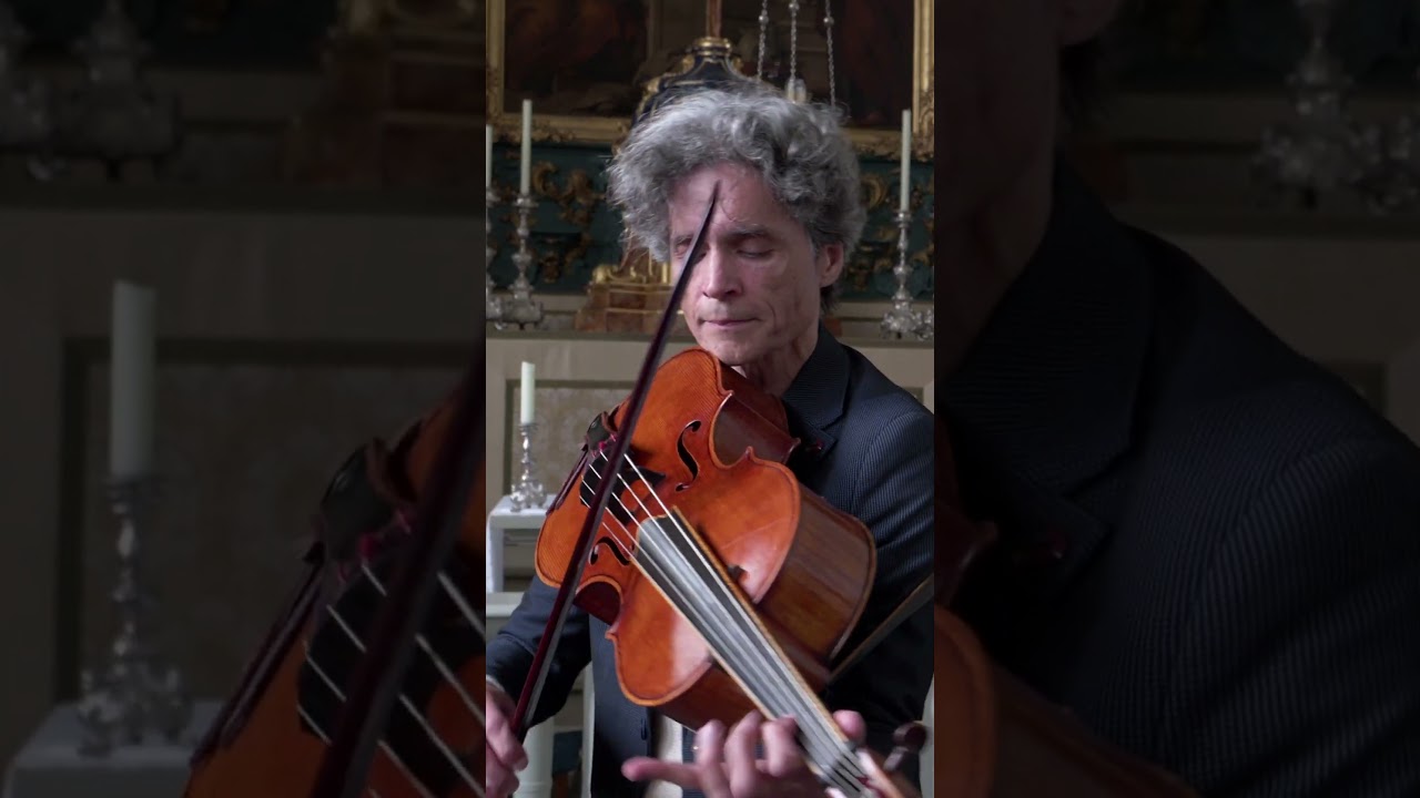 Violoncello da spalla pleasures you can't experience on the violin #shorts