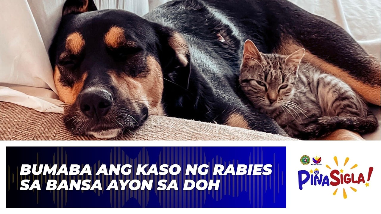 Bumaba ang mga Kaso ng Rabies sa Basa | PINASigla