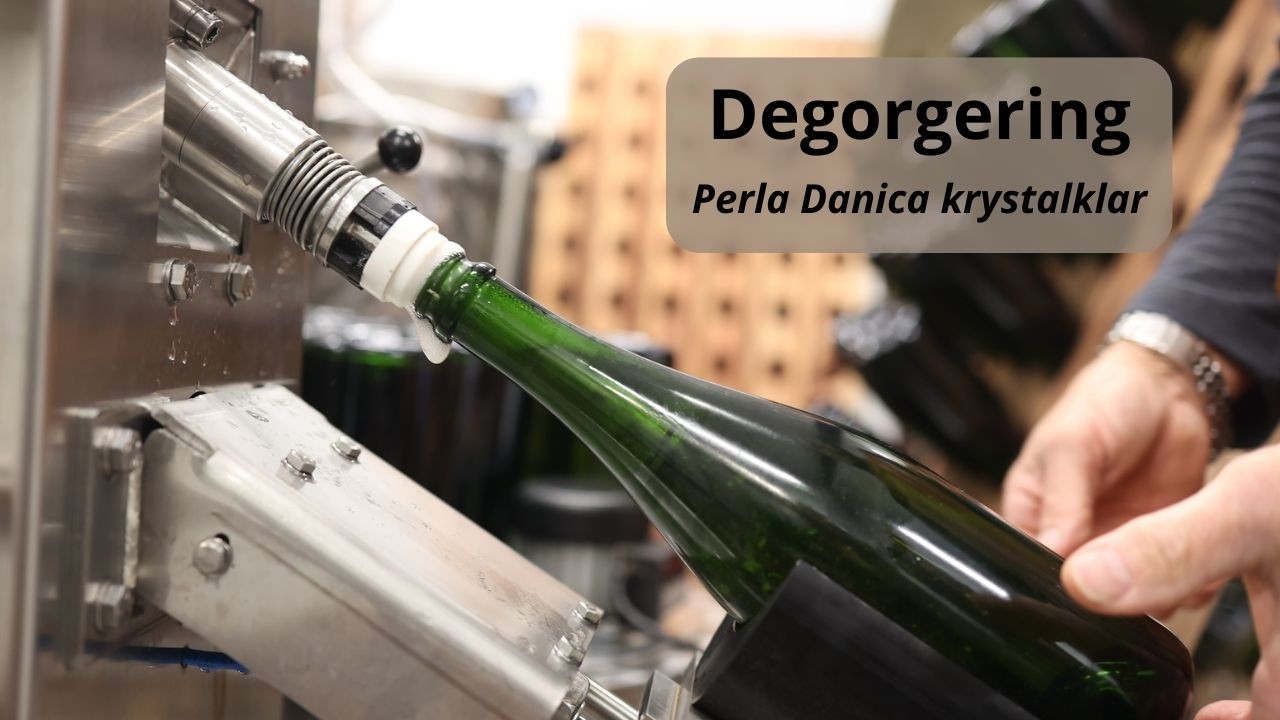 Degorgering - det sidste trin før Perla Danica er klar