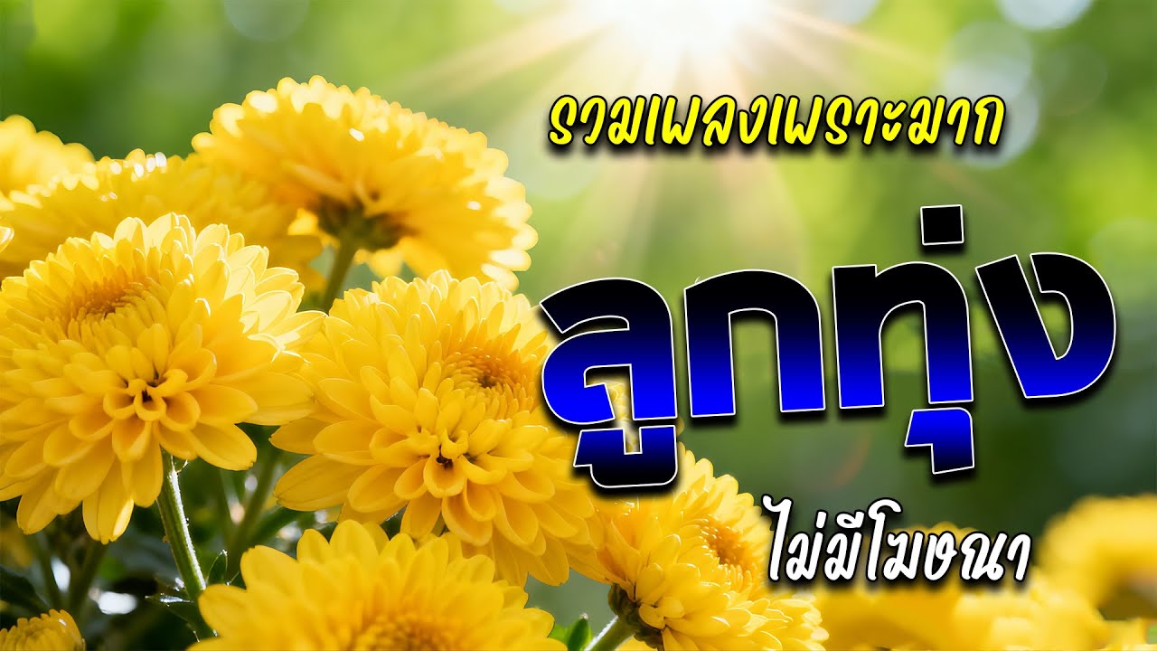 ลูกทุ่งรวมเพลงเพราะมาก #ฟังแบบต่อเนื่อง #ไม่มีโฆษณา