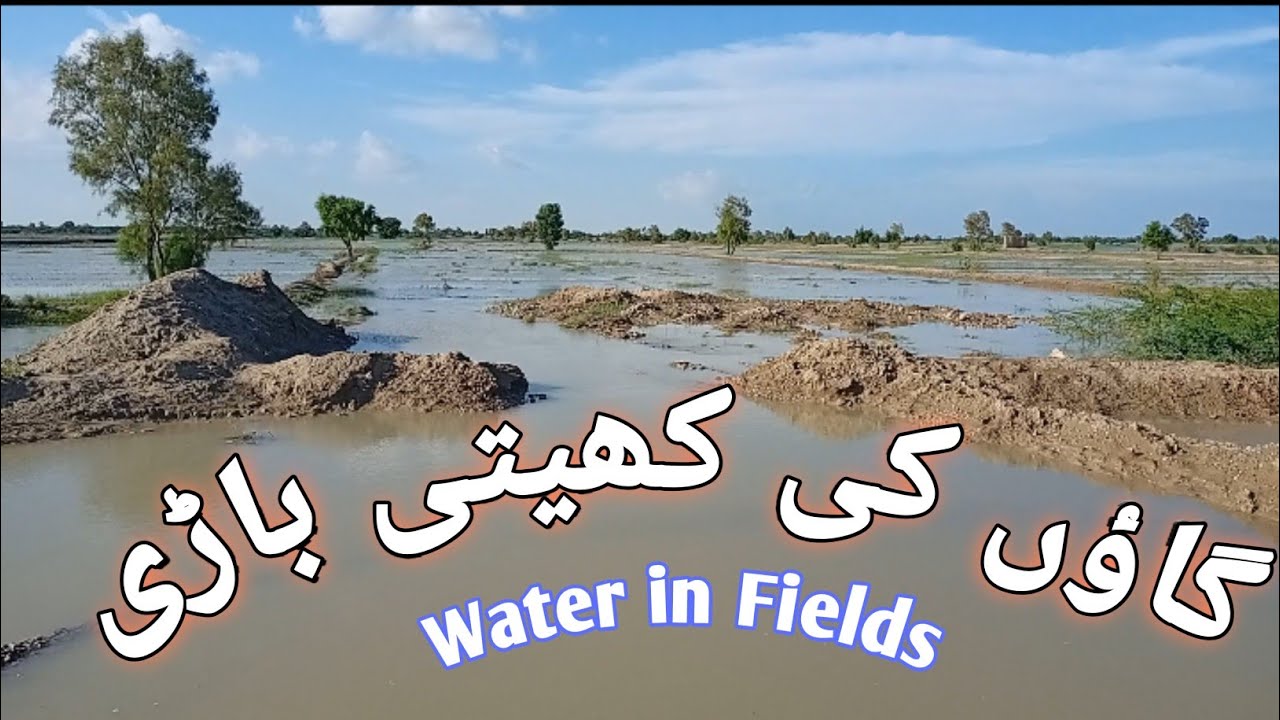 Water in fields || گاٶں کی کھیتی باڑی
