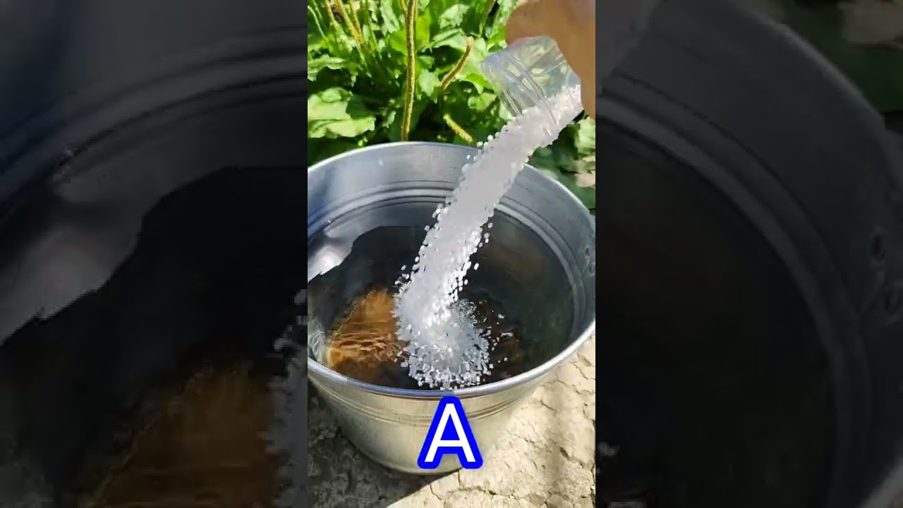 How to make Hydroponic Nutrient Solution DIY Hydroponic Nutrients Recipe #hydroponics #hydroponic