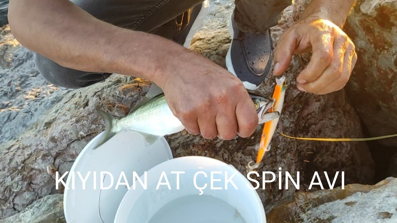 İSTANBUL AT ÇEK SPİN İLE LÜFER ÇİNEKOP AVI !!! SPİN AVI NASIL YAPILIR ?