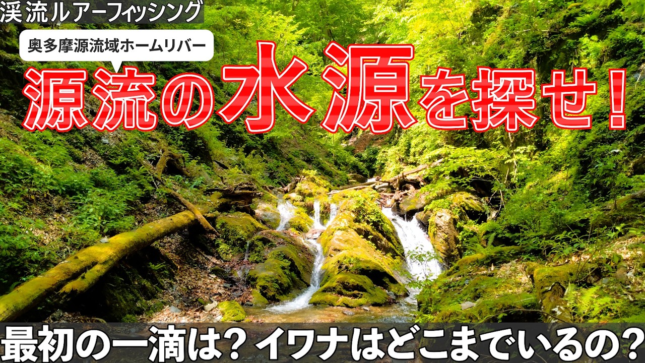 【渓流ルアーフィッシング】奥多摩源流の最初の１滴、水源を目指せ！