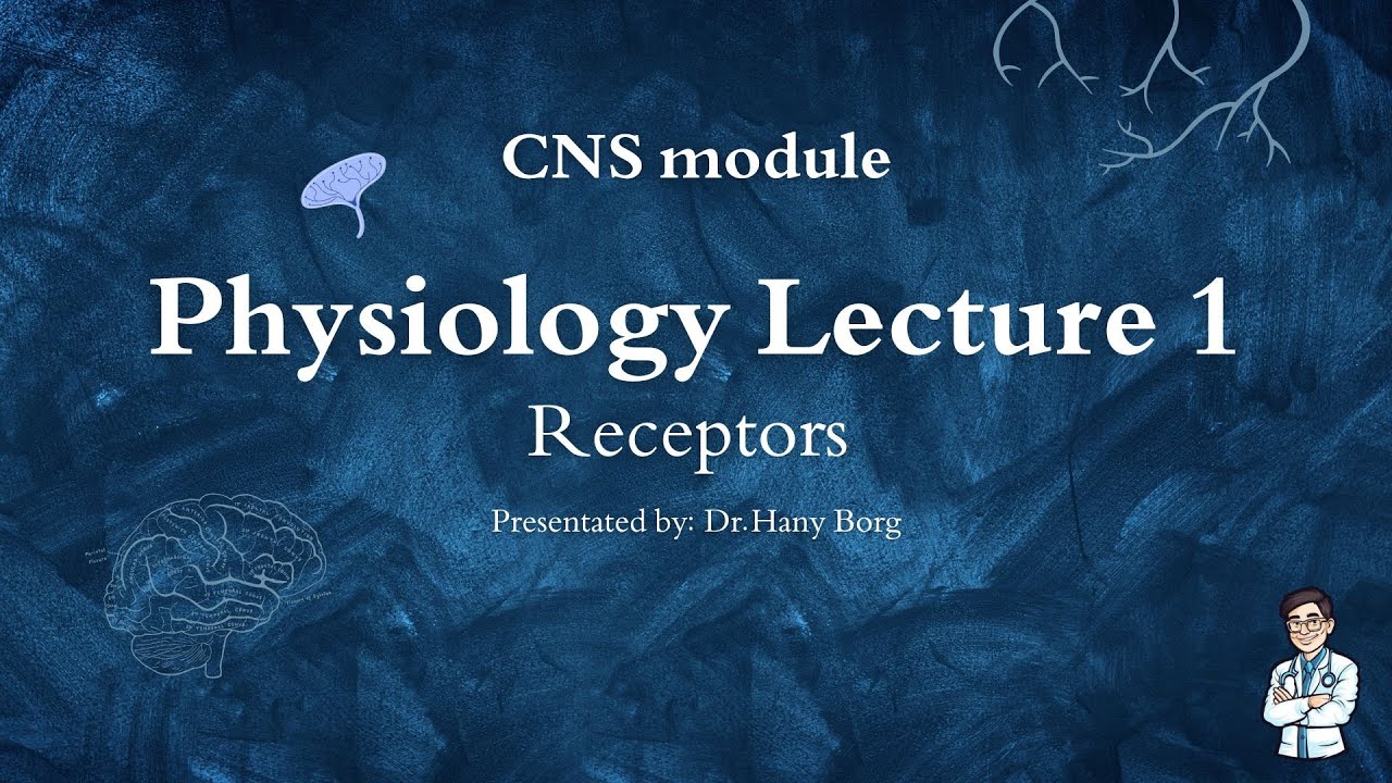 Physiology CNS Lec 1 | Dr Hany | sensory receptors 