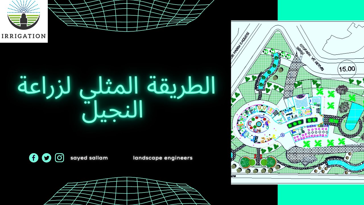 الطريقة المثلي لزراعة النجيل مع م سيد سلام