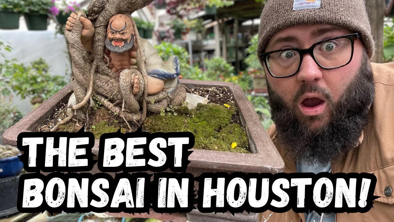 Discovering HOUSTON'S Hidden Bonsai Nursery! | JRN Nursery Houston TX