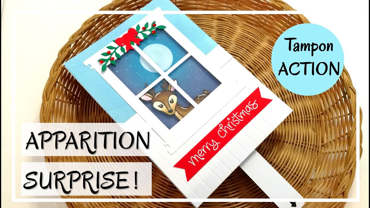 TUTO CARTE de NOEL :  Carte INTERACTIVE avec un tampon ACTION ! Très original ! DIY Scrapbooking