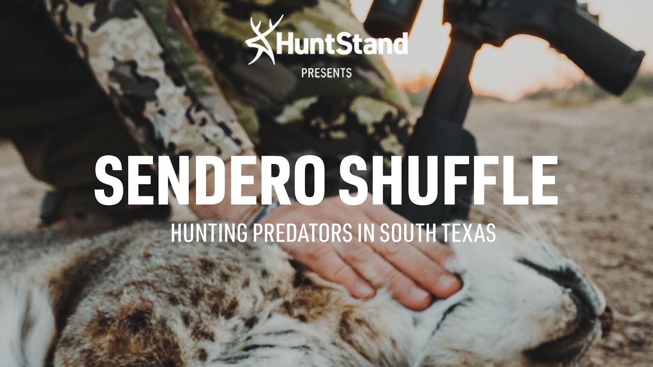 SENDERO SHUFFLE | Hunting Predators in South Texas