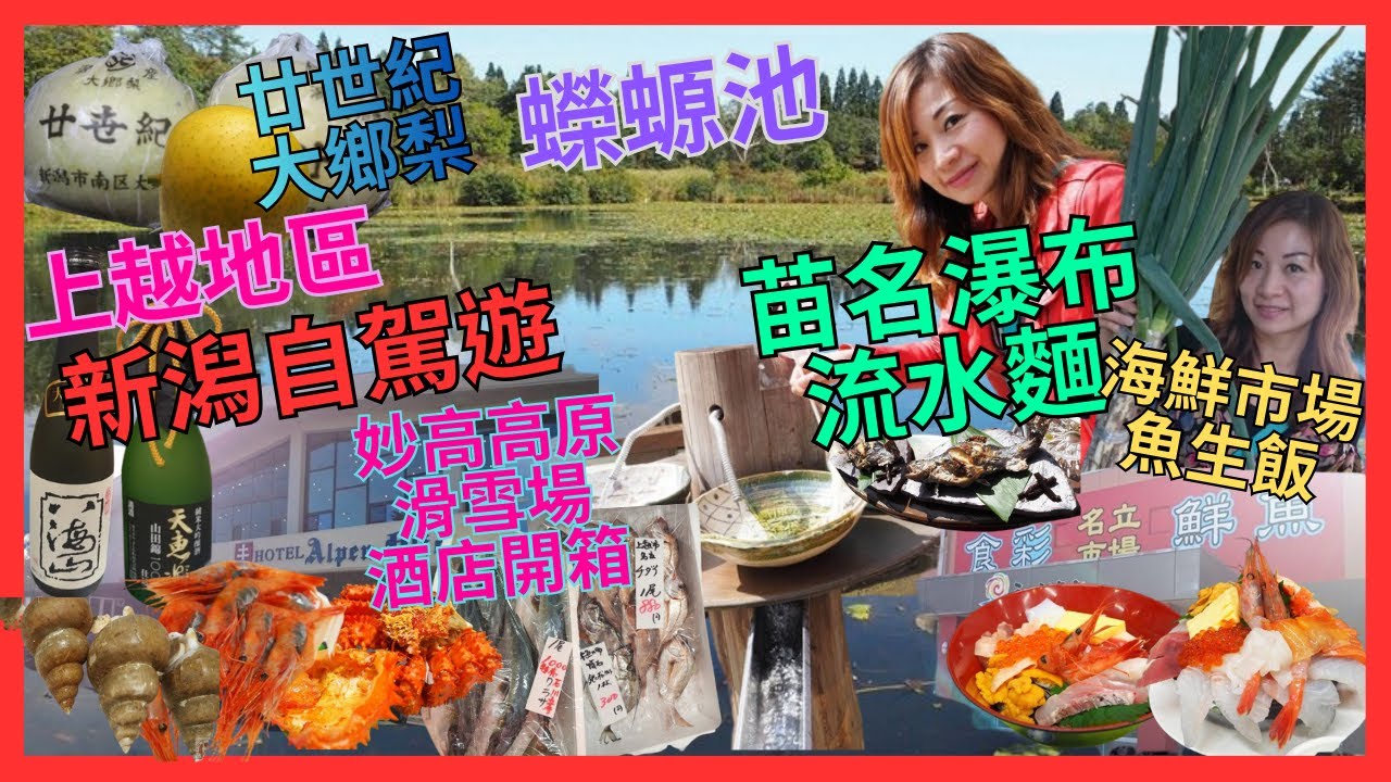 [新潟自駕遊 上越地區] 鮮魚市場｜ 猛烈 魚生飯｜ 酒店開箱 妙高山滑雪場 溫泉酒店| 必試 妙高高原 雪山水釀造啤酒｜推介 日本百選苗名瀑布 食 玩 流水麵| 蠑螈池 睇 妙高山 倒影｜大鄉梨