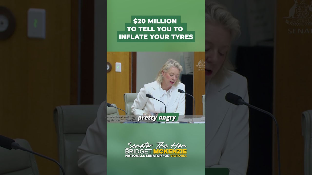 Labor spent a whopping $2 million on just the CREATIVE.  #auspol #shortsfeed #diesel #australia