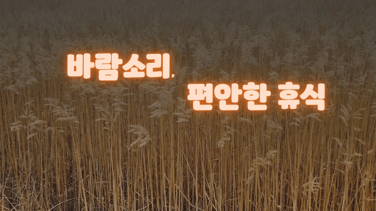 깊은 수면을 위한 바람 소리 🍃 자연 백색소음 ASMR | Wind Sounds for Deep Sleep, Relaxation & Stress Relief (3 Hours)