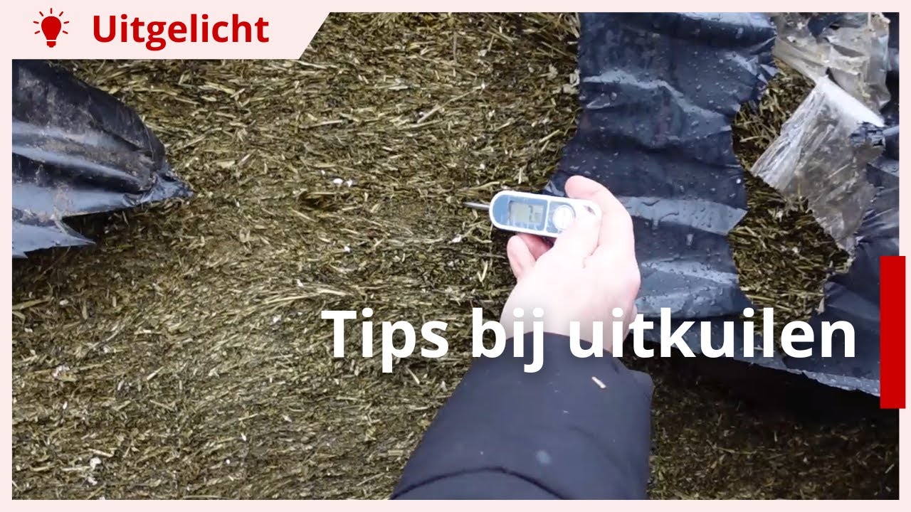 Uitgelicht | Wintertips uitkuilen: voerverlies en broei voorkomen