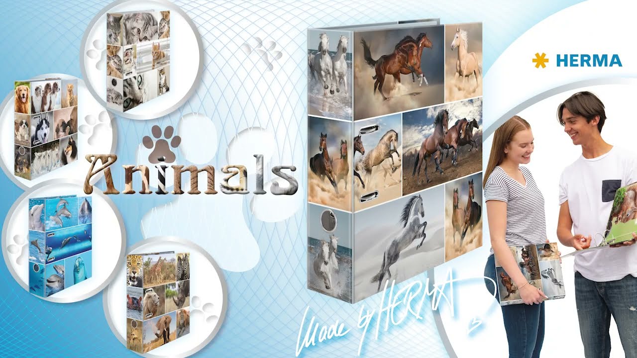 HERMA Motivordner ANIMALS Pferde